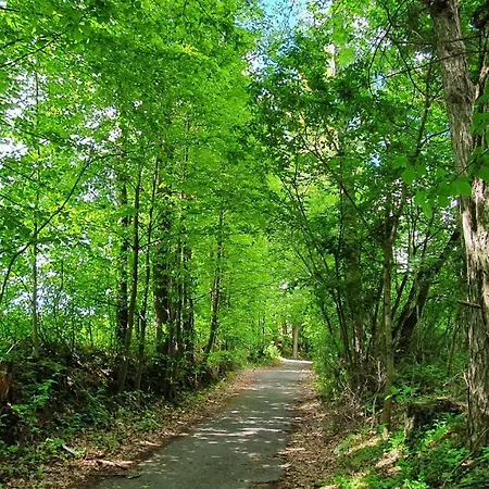 Vakantiehuis Nasz - Dom Dla 15 Osob, Sauna, Widok Na Staw, Wielka Dzialka Dębowiec