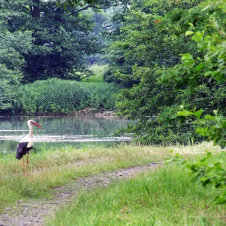 Vakantiehuis Nasz - Dom Dla 15 Osob, Sauna, Widok Na Staw, Wielka Dzialka