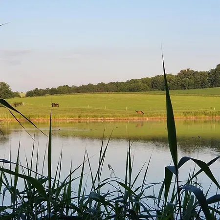 Nasz - Dom Dla 15 Osob, Sauna, Widok Na Staw, Wielka Dzialka * Dębowiec