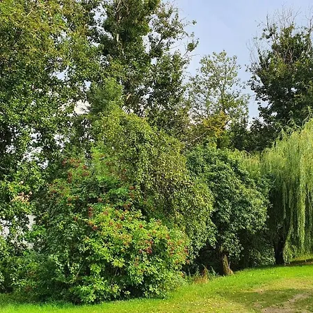 Vakantiehuis Nasz - Dom Dla 15 Osob, Sauna, Widok Na Staw, Wielka Dzialka