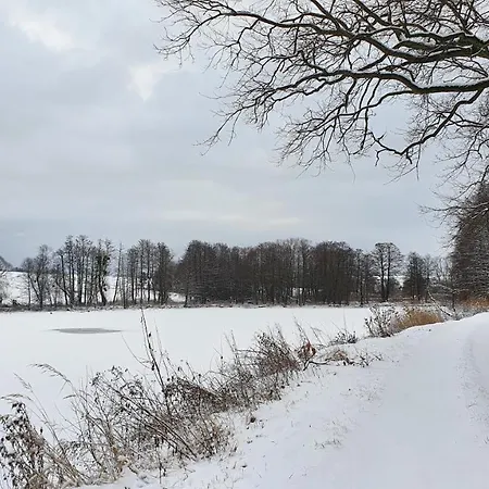 Nasz - Dom Dla 15 Osob, Sauna, Widok Na Staw, Wielka Dzialka Debowiec (Silesia)