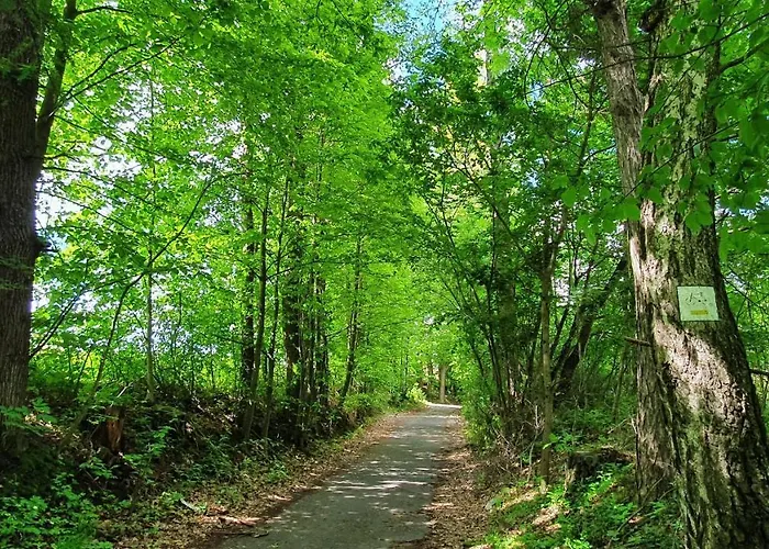 Casa de Férias Nasz - Dom Dla 15 Osób, Sauna, Widok Na Staw, Wielka Działka Dębowiec