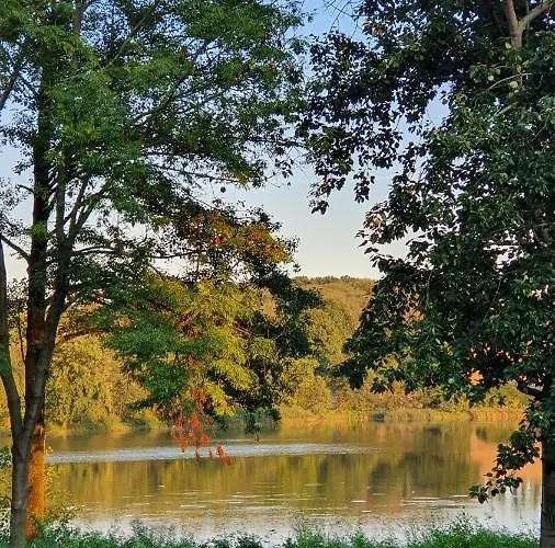 Nasz - Dom Dla 15 Osób, Sauna, Widok Na Staw, Wielka Działka Casa de Férias *