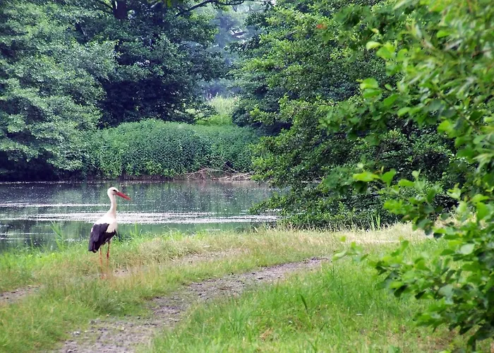 Prázdninový dům Nasz - Dom Dla 15 Osob, Sauna, Widok Na Staw, Wielka Dzialka