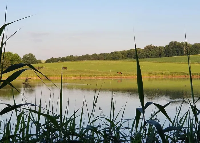 Nasz - Dom Dla 15 Osób, Sauna, Widok Na Staw, Wielka Działka * Dębowiec