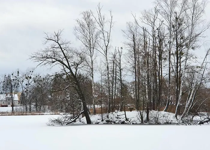 Nasz - Dom Dla 15 Osób, Sauna, Widok Na Staw, Wielka Działka Casa de Férias