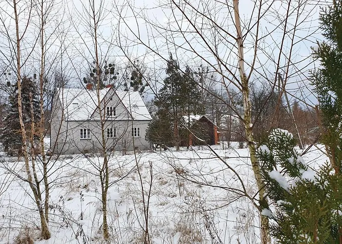 Nasz - Dom Dla 15 Osob, Sauna, Widok Na Staw, Wielka Dzialka *